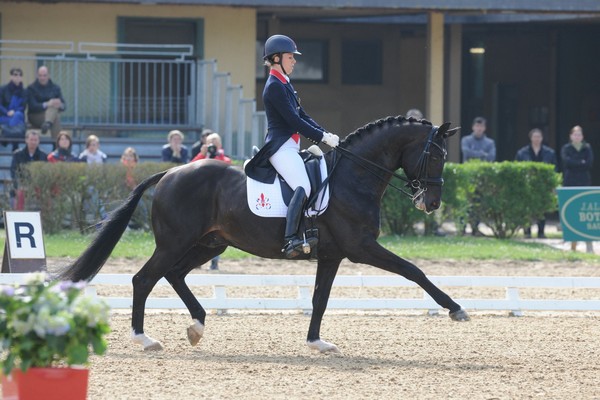 L'élite du dressage à Saumur