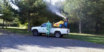 Mobilisez-vous contre les chenilles processionnaires