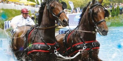 A Saumur ce week-end