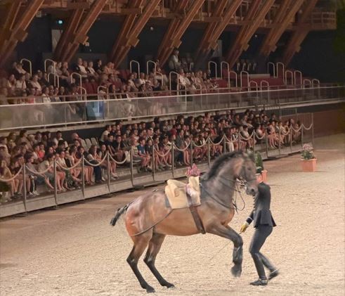 Les &eacute;l&egrave;ves de CM2 cl&ocirc;turent leur cycle p&eacute;dagogique consacr&eacute; au cheval