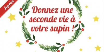 Donnez une seconde vie à vos sapins de Noël