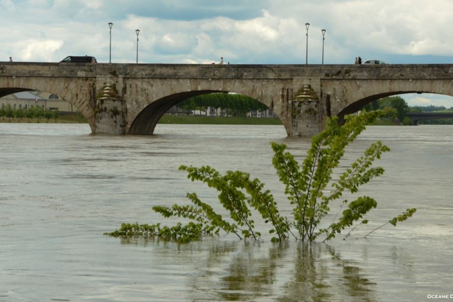 Mont&eacute;e des eaux : mesures de pr&eacute;vention &agrave; Saumur