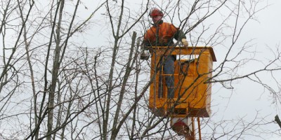 Chantier d'élagage des arbres avenue des Fusillés
