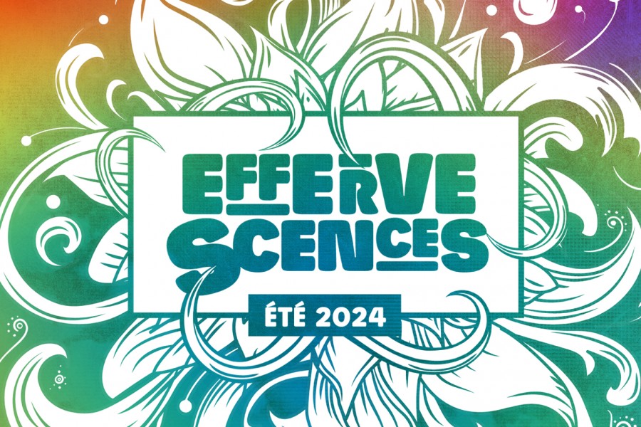 EFFERVESCENCES 2024 : LE PROGRAMME !