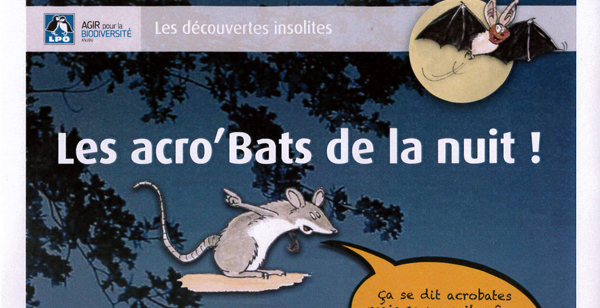 Les Acro’bats’ de la nuit s’exposent à Saumur