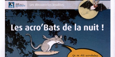 Les Acro’bats’ de la nuit s’exposent à Saumur