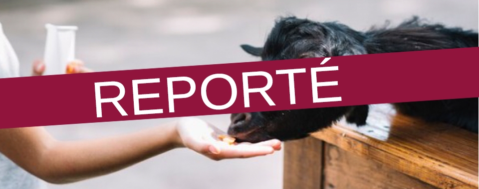 La ferme pédagogique Tiligolo à Saumur