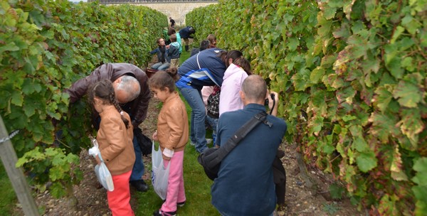 Fête des vendanges au château le 28 septembre