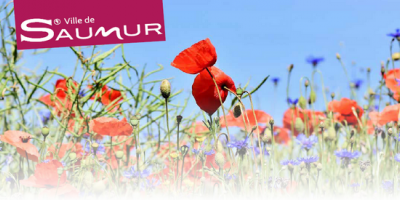 Saumur labellisée ville fleurie trois fleurs