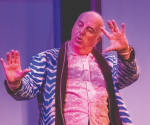 Festival d'Anjou - Une histoire de France 