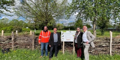 La Ville de Saumur expérimente sa première haie sèche à Saint-Lambert-des-Levées