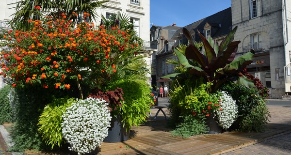 Le Concours des maisons fleuries en résultats et en fleurs