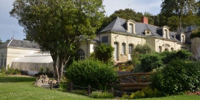 Le jardin des plantes, refuge pour les oiseaux