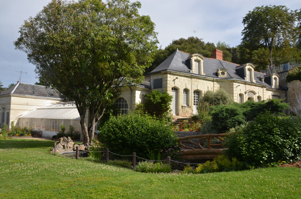 Le jardin des plantes, refuge pour les oiseaux