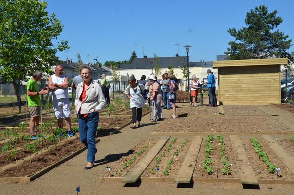 Jardin partagé, une nouvelle saison commence