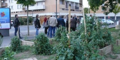 Visite de quartier Chemin Vert Violettes en bref