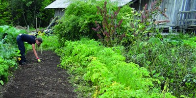 Des "Jardins partagés" pour 2018, participez au projet !