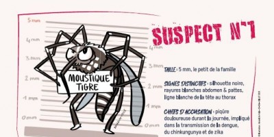 Moustique tigre : appel &agrave; la vigilance dans le Saumurois