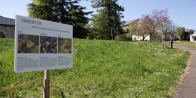 Sensibilisation à la biodiversité urbaine : une nouvelle édition placée sous le signe des papillons à Saint-Hilaire-Saint-Florent