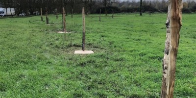 RIVES DU THOUET : PLANTATION DE VÉGÉTAUX AUTOCHTONES