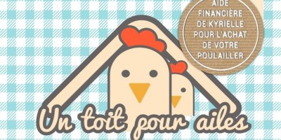 Un toit pour ailes : une aide financière pour l'achat d'un poulailler