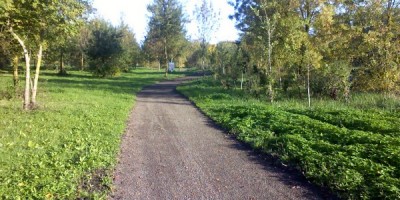 Balades au bord du Thouet