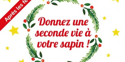 Donnez une seconde vie à votre sapin !