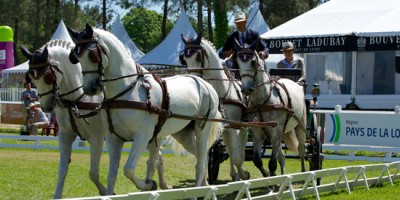 A Saumur ce week-end
