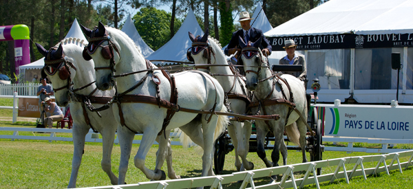 A Saumur ce week-end