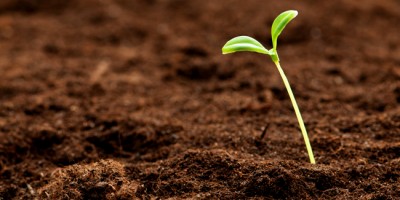 Petites graines, ficelle et tresse au programme