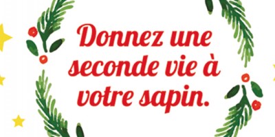 Collecte des sapins de Noël naturels jusqu'au 16 janvier