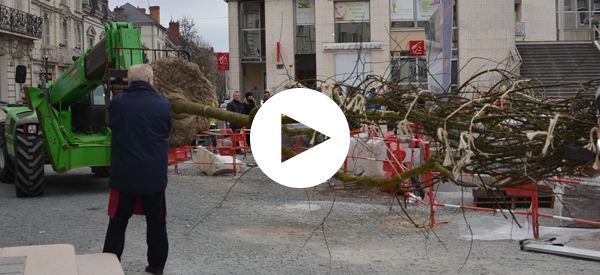 En vidéo la plantation du premier arbre de la place St-Pierre.