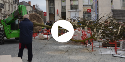 En vidéo la plantation du premier arbre de la place St-Pierre.