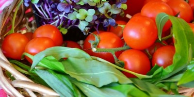 Marché estival à Dampierre sur Loire