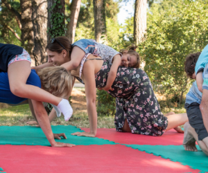 ATELIER ARTISTIQUE : CIE BRAS TENDUS 