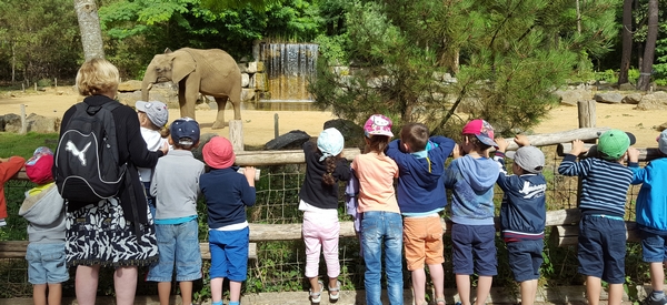 Iles des enfants : à la découverte du Zoo de la Flèche